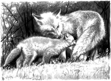Original drawing "Foxes"