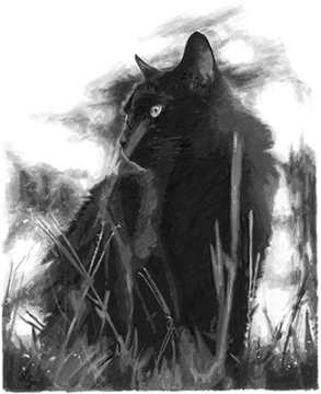 Original drawing "The cat from chapter 18"